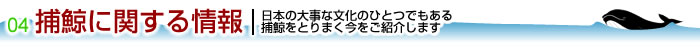 捕鯨に関する情報